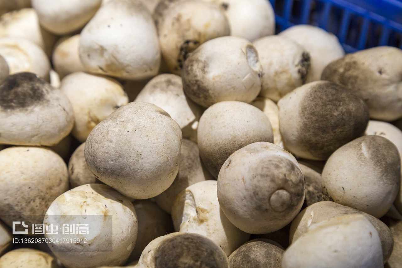 菜市场各种摆放整齐的食材香菇