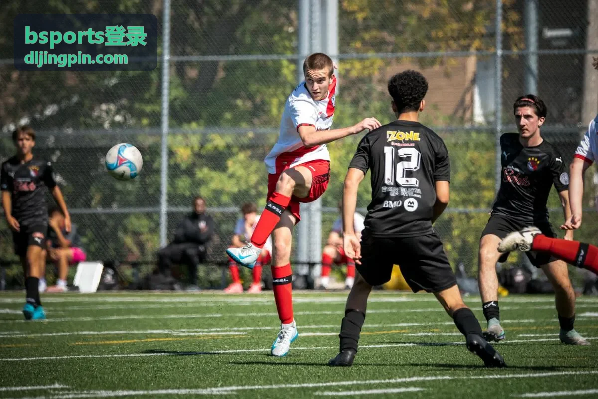 bsports登录 账号安全设置页头背景