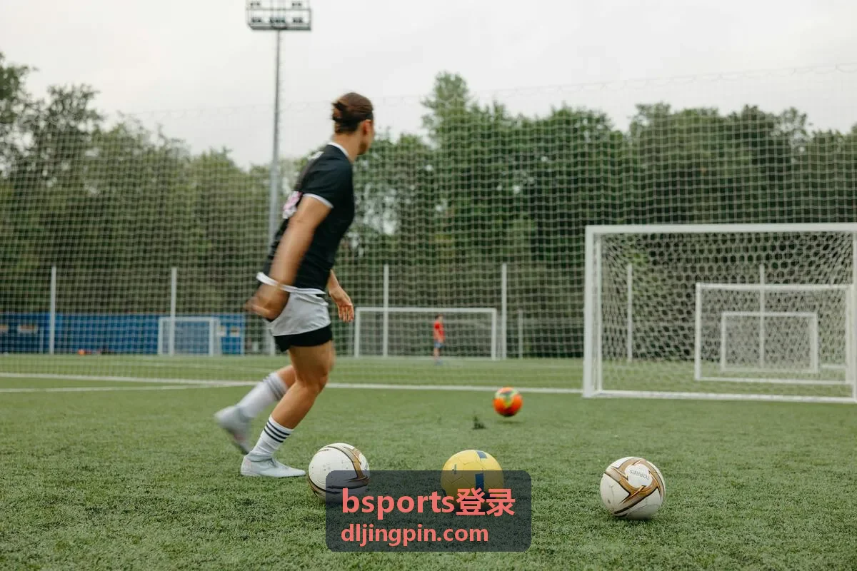 bsports登录入口核对与账号验证示意画面