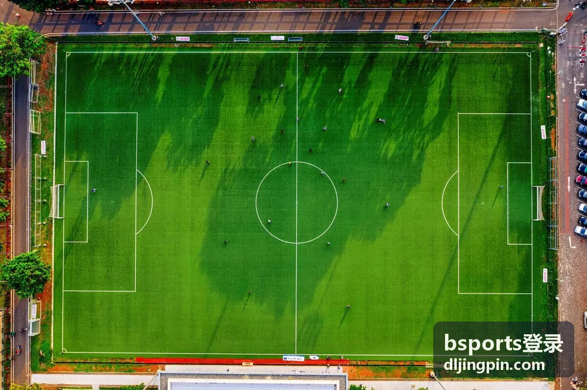 电脑端 bsports登录操作界面示意